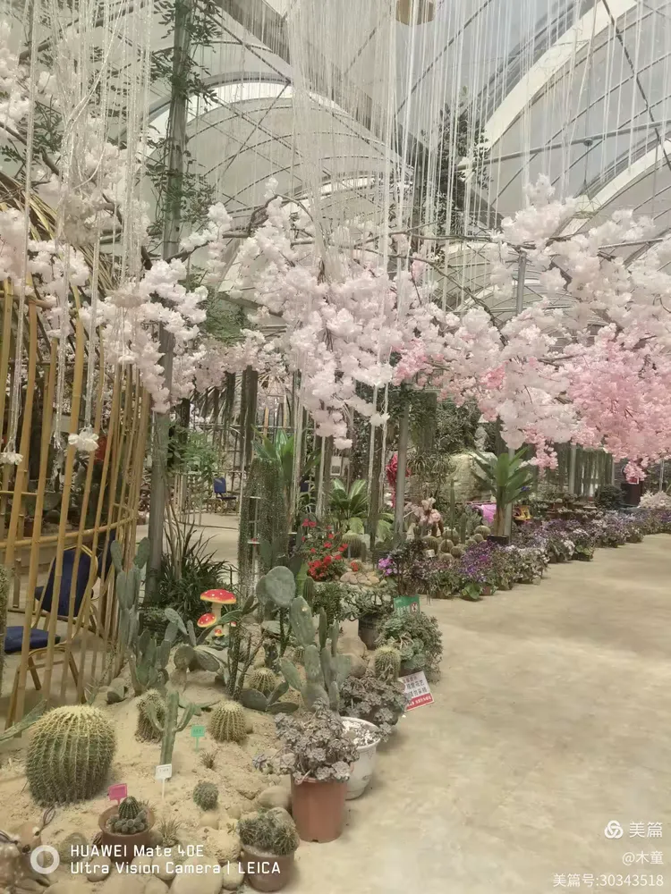 旅途随笔之七(游利川花千谷)